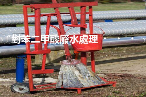 “對苯二甲酸廢水處理，綠色創(chuàng)新引領(lǐng)環(huán)保新篇章”